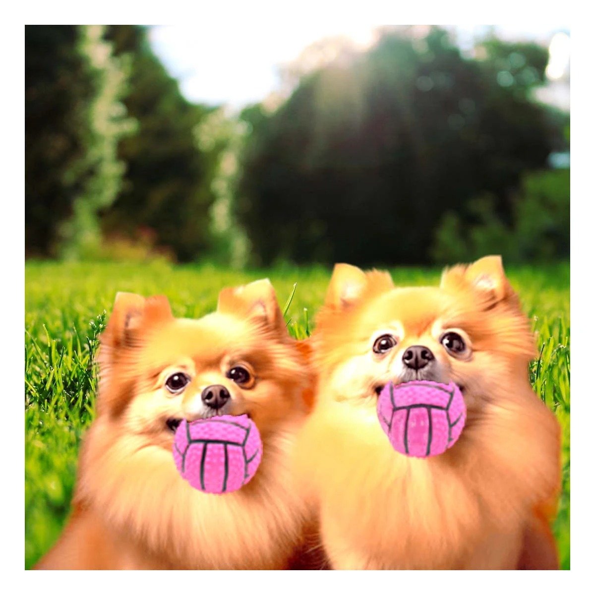 PACK2 ACCESORIO RESISTENTE PARA PERRO A RAYAS DE CAUCHO ROSADO CON SONIDO Y+REGALO STICKER - 3