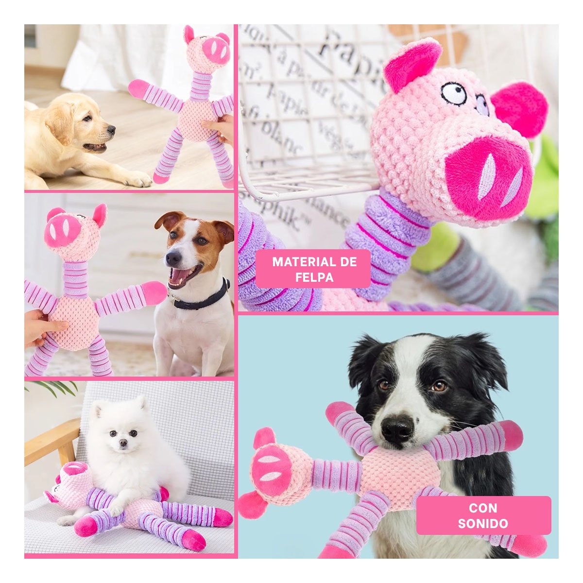PACK4 SET PEQUENO PARA MASCOTAS EN FORMA DE CHANCHO ROSADO Y LILA CONFORTABLE Y+REGALO STICKER - 2