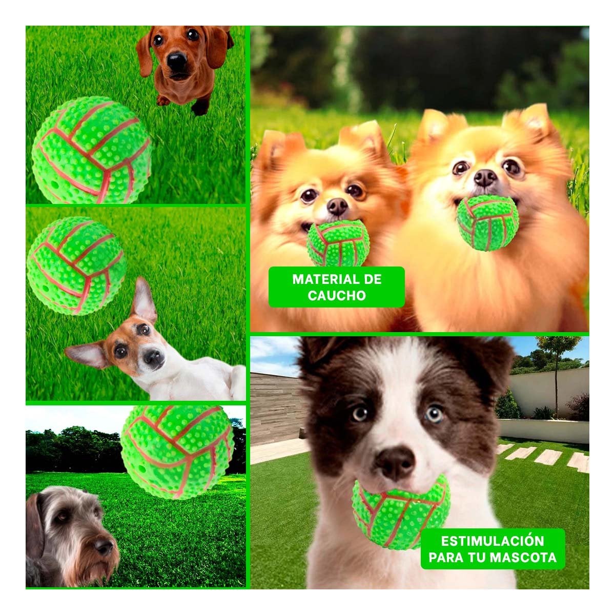 PACK12 KIT PEQUENO VERDE PARA PERRO A RAYAS DE CAUCHO CON SONIDO Y+PAPEL REGALO - 2
