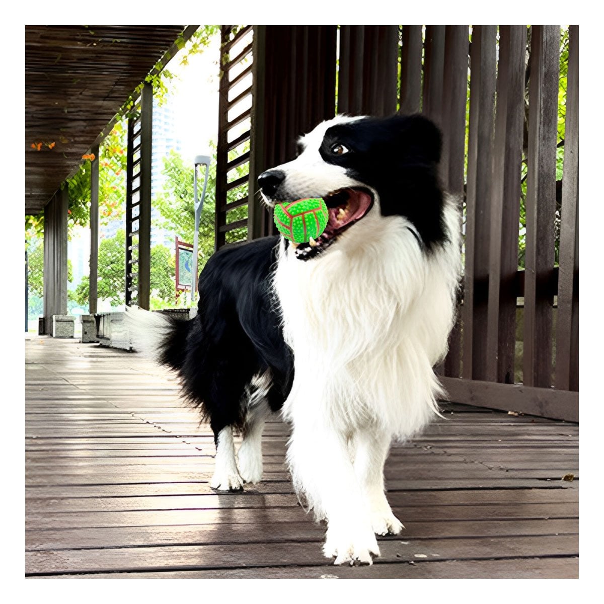 PACK12 KIT PEQUENO VERDE PARA PERRO A RAYAS DE CAUCHO CON SONIDO Y+PAPEL REGALO - 3