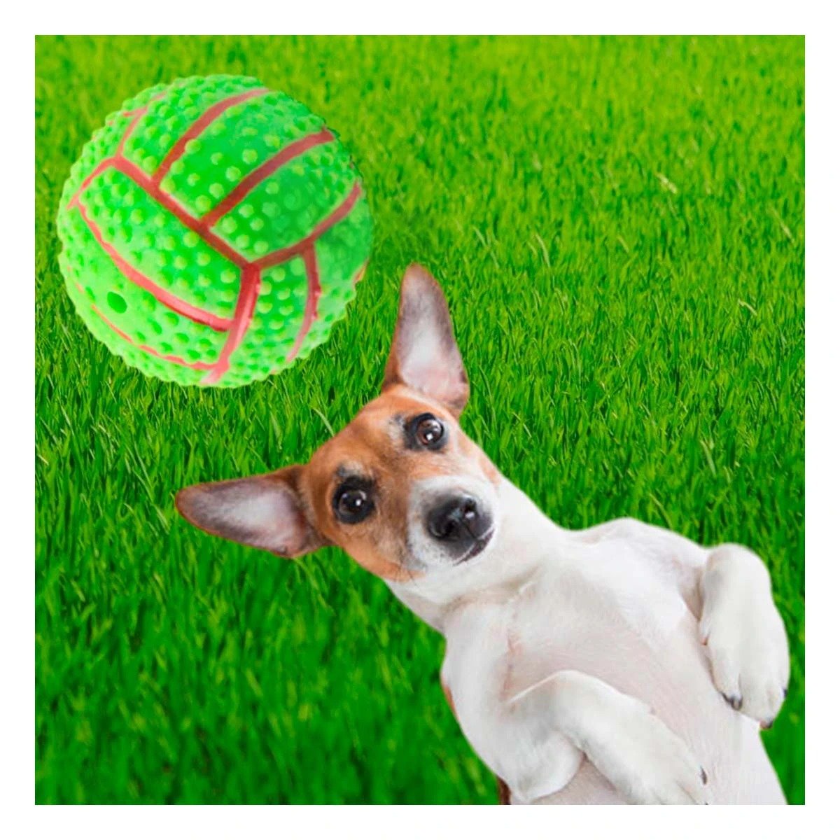 PACK12 KIT PEQUENO VERDE PARA PERRO A RAYAS DE CAUCHO CON SONIDO Y+PAPEL REGALO - 5