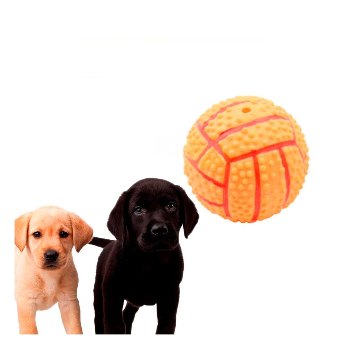 PACK6 KIT PARA PERRO A RAYAS DE CAUCHO ANARANJADO CON SONIDO DURADERO Y+REGALO STICKER - 2