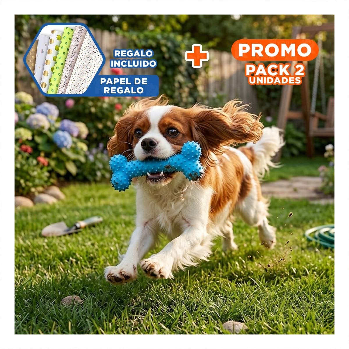 PACK2 KIT DE JUEGO DE GOMA MASTICADOR EN FORMA DE HUESO CELESTE SEGURO Y+PAPEL REGALO - 1