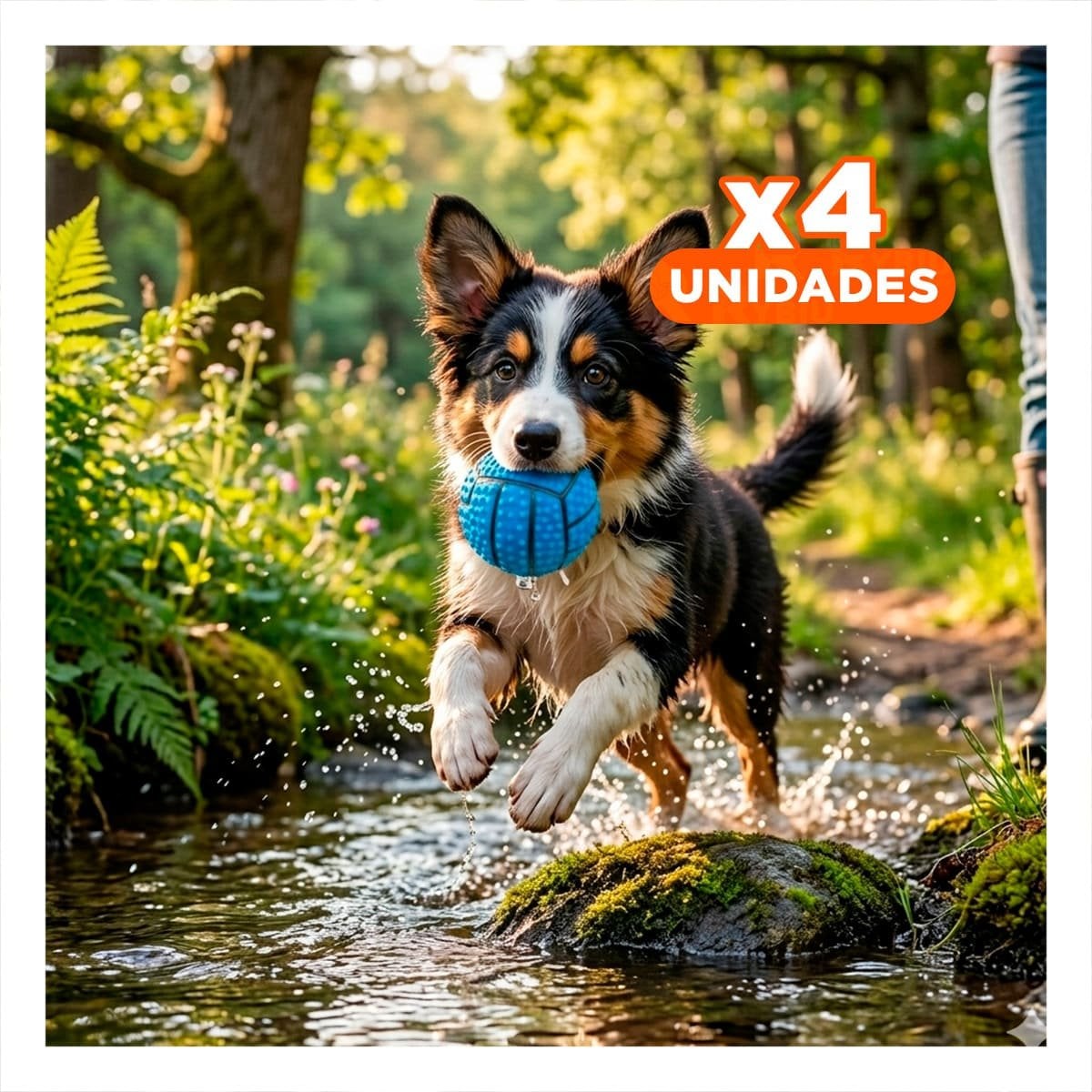 PACK4 SET PARA PERRO A RAYAS DE CAUCHO CON RELIEVE Y SONIDO COLOR AZUL - 1