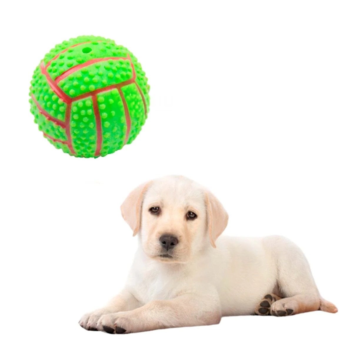 PACK4 SET INTERACTIVO VERDE PARA PERRO DE CAUCHO CON RAYAS Y SONIDO Y+PAPEL REGALO - 3