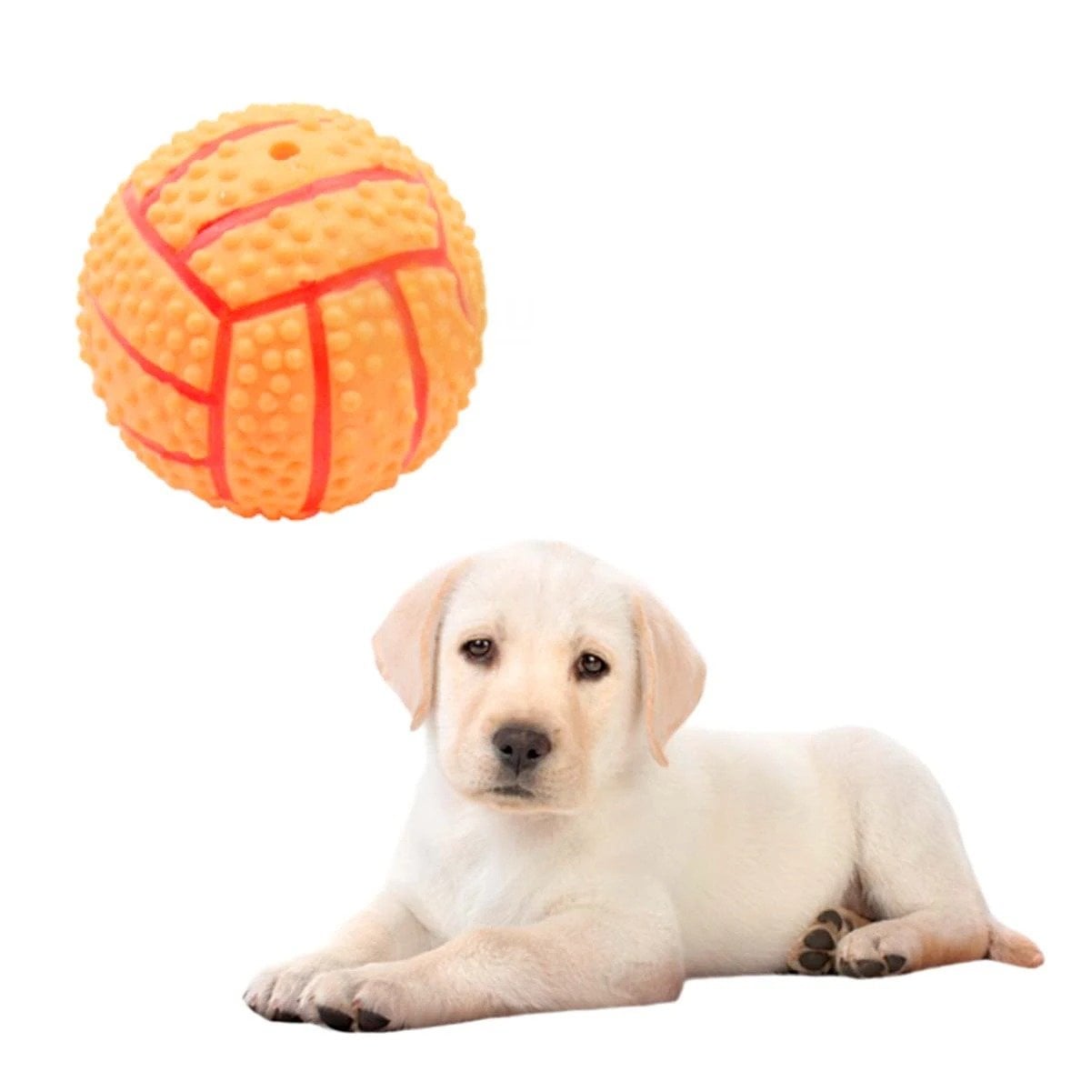 PACK4 SET INTERACTIVO PARA PERRO DE CAUCHO ANARANJADO CON RAYAS Y SONIDO Y+PAPEL REGALO - 3