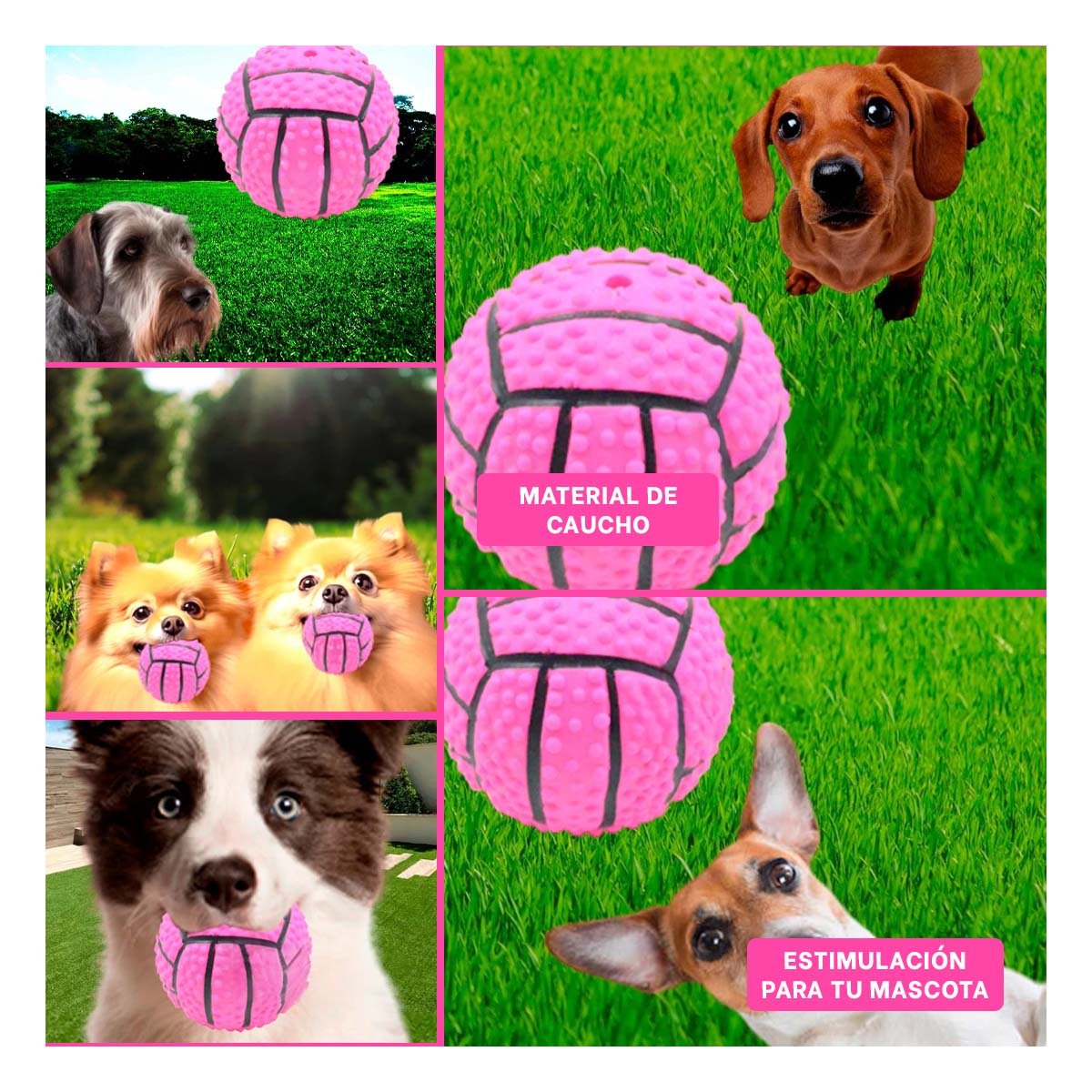 PACK6 SET RESISTENTE PARA PERRO A RAYAS DE CAUCHO ROSADO CON SONIDO DIVERTIDO Y+PAPEL REGALO - 3