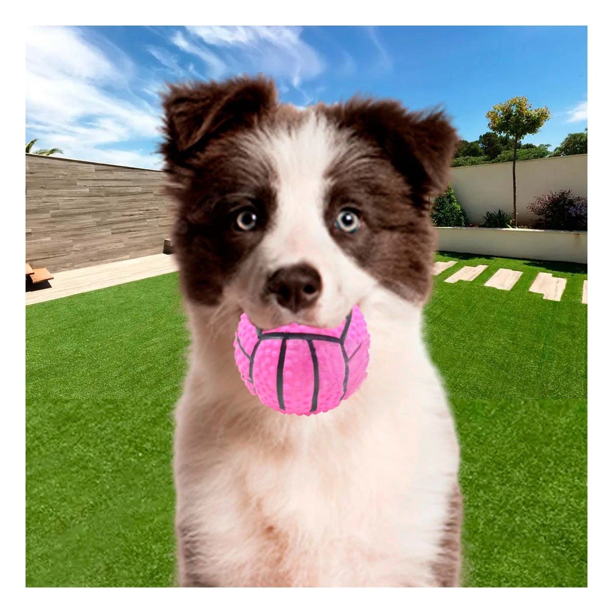 PACK6 SET RESISTENTE PARA PERRO A RAYAS DE CAUCHO ROSADO CON SONIDO DIVERTIDO Y+PAPEL REGALO - 5