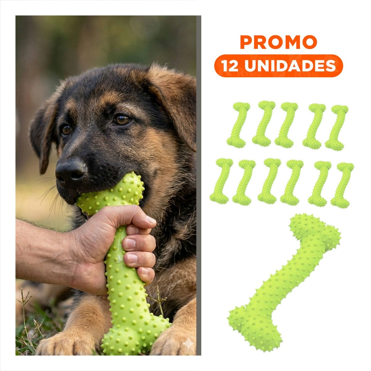 PACK12 APARATO DE JUEGO DE GOMA MASTICADOR EN FORMA DE HUESO VERDE LIMON Y+REGALO STICKER - 1