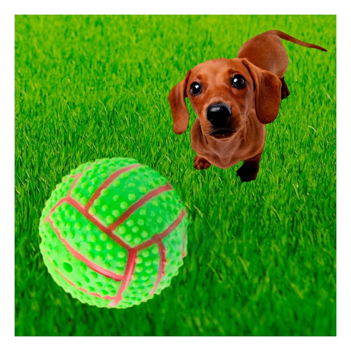 PACK12 KIT DE JUEGO VERDE PARA PERRO DE CAUCHO CON RAYAS Y RELIEVE Y+REGALO STICKER - 5