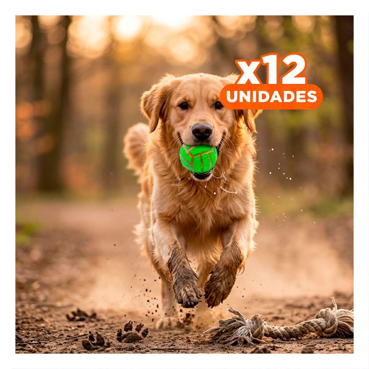 PACK12 KIT INTERACTIVO VERDE PARA PERRO DE CAUCHO CON RAYAS Y SONIDO - 1