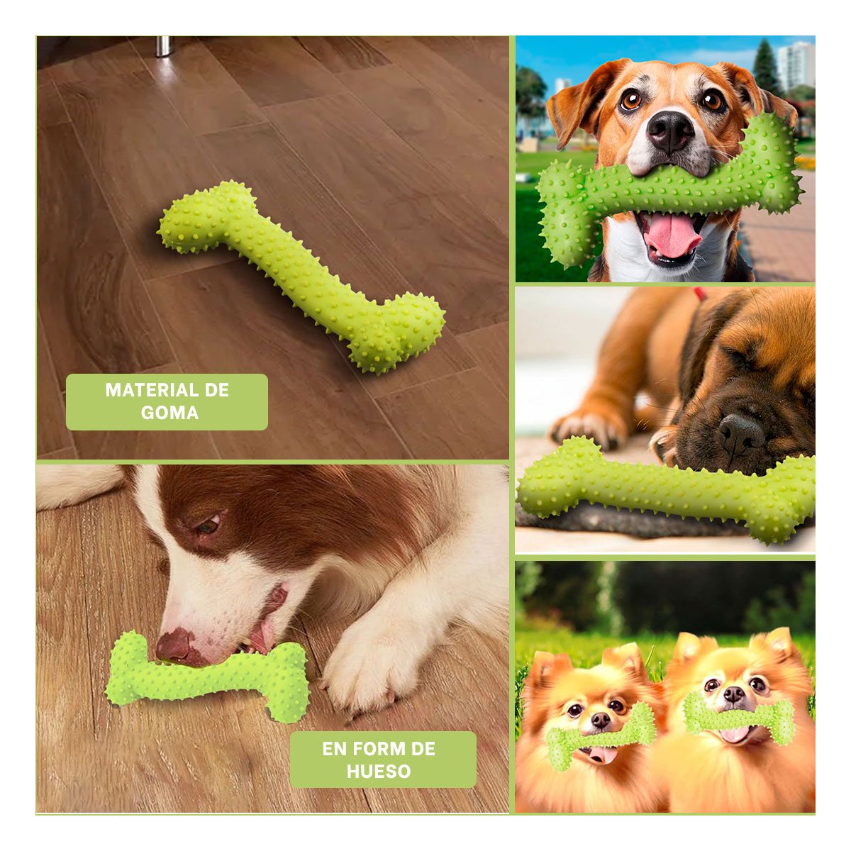 PACK12 APARATO PEQUENO DE GOMA MASTICADOR EN FORMA DE HUESO VERDE LIMON Y+PAPEL REGALO - 2