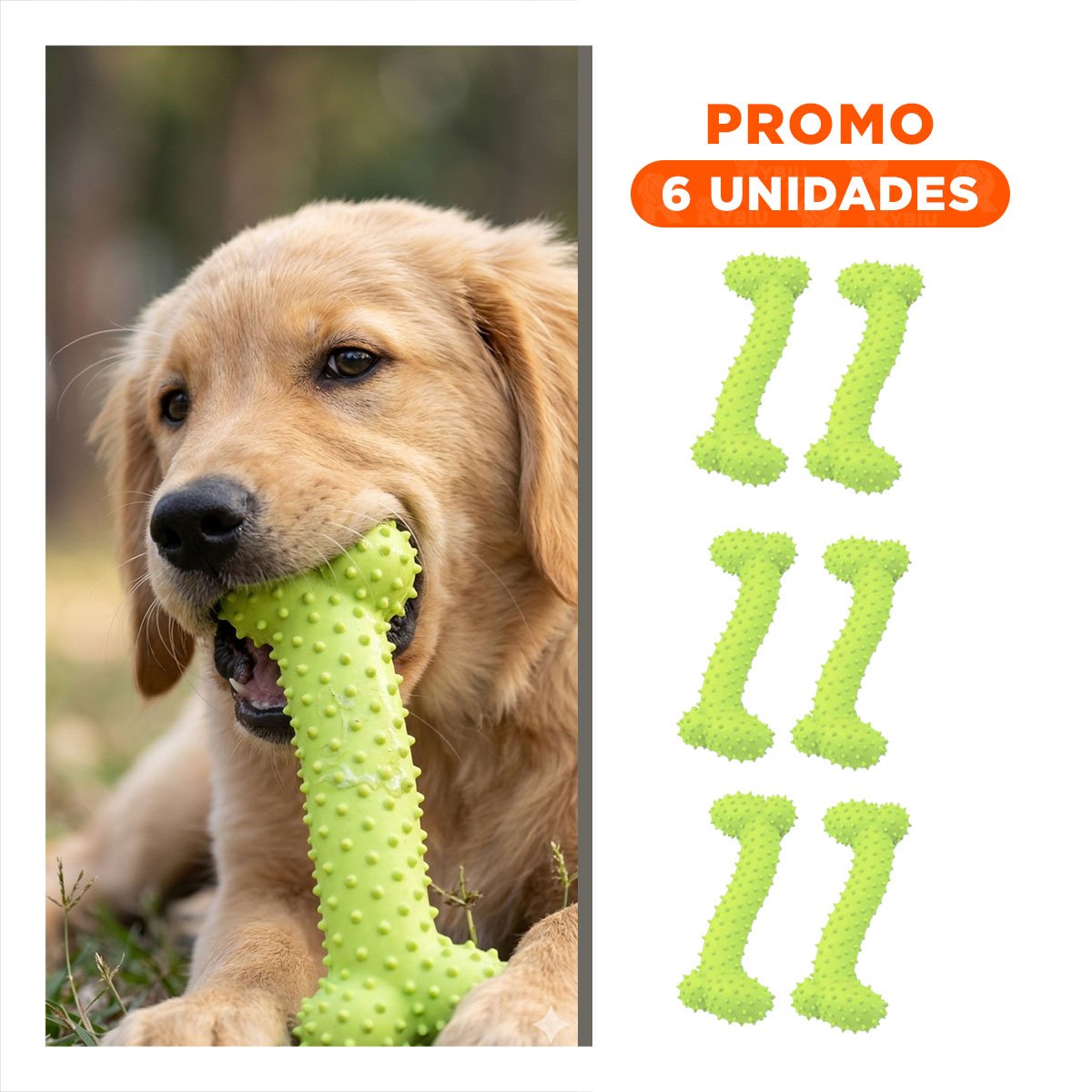 PACK6 SET DE JUEGO DE GOMA EN FORMA DE HUESO VERDE LIMON DIVERTIDO - 1
