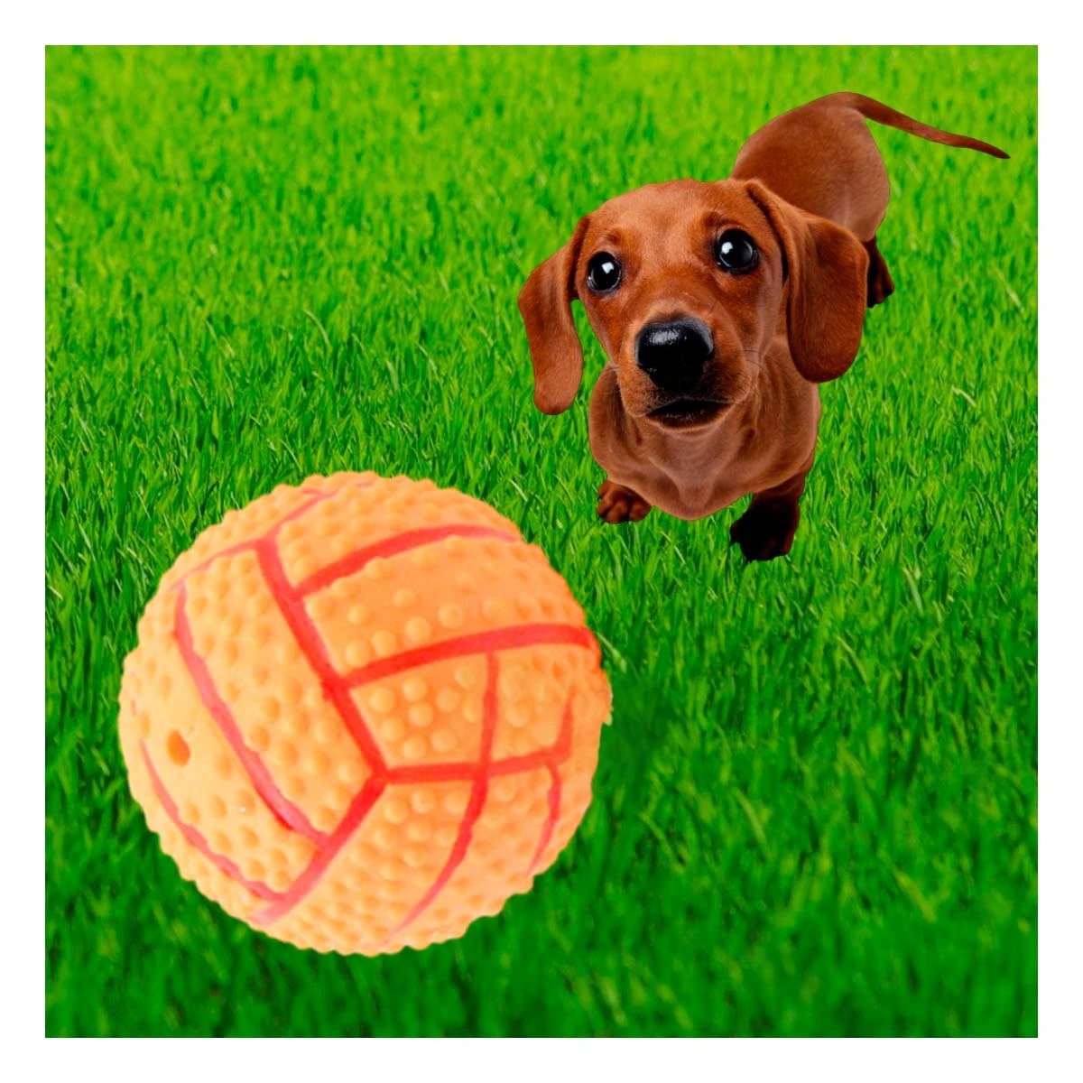 PACK2 ACCESORIO RESISTENTE PARA PERRO A RAYAS DE CAUCHO ANARANJADO SONIDO Y+REGALO STICKER - 5