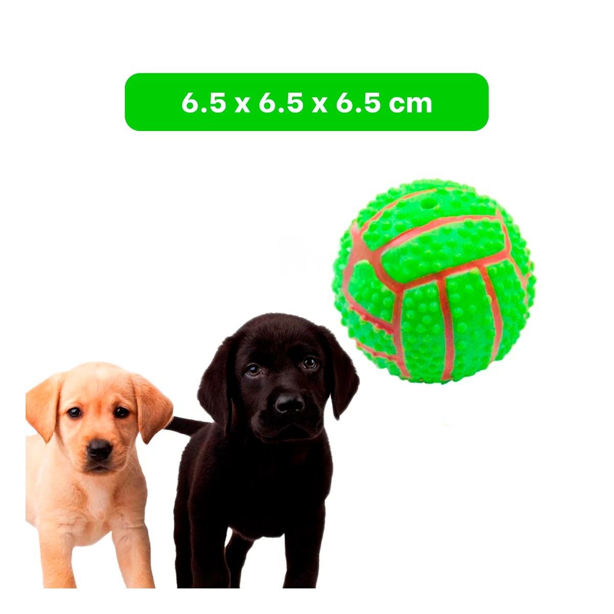 PACK2 ACCESORIO DE JUEGO VERDE PARA PERRO DE CAUCHO CON RAYAS Y RELIEVE Y+PAPEL REGALO - 4