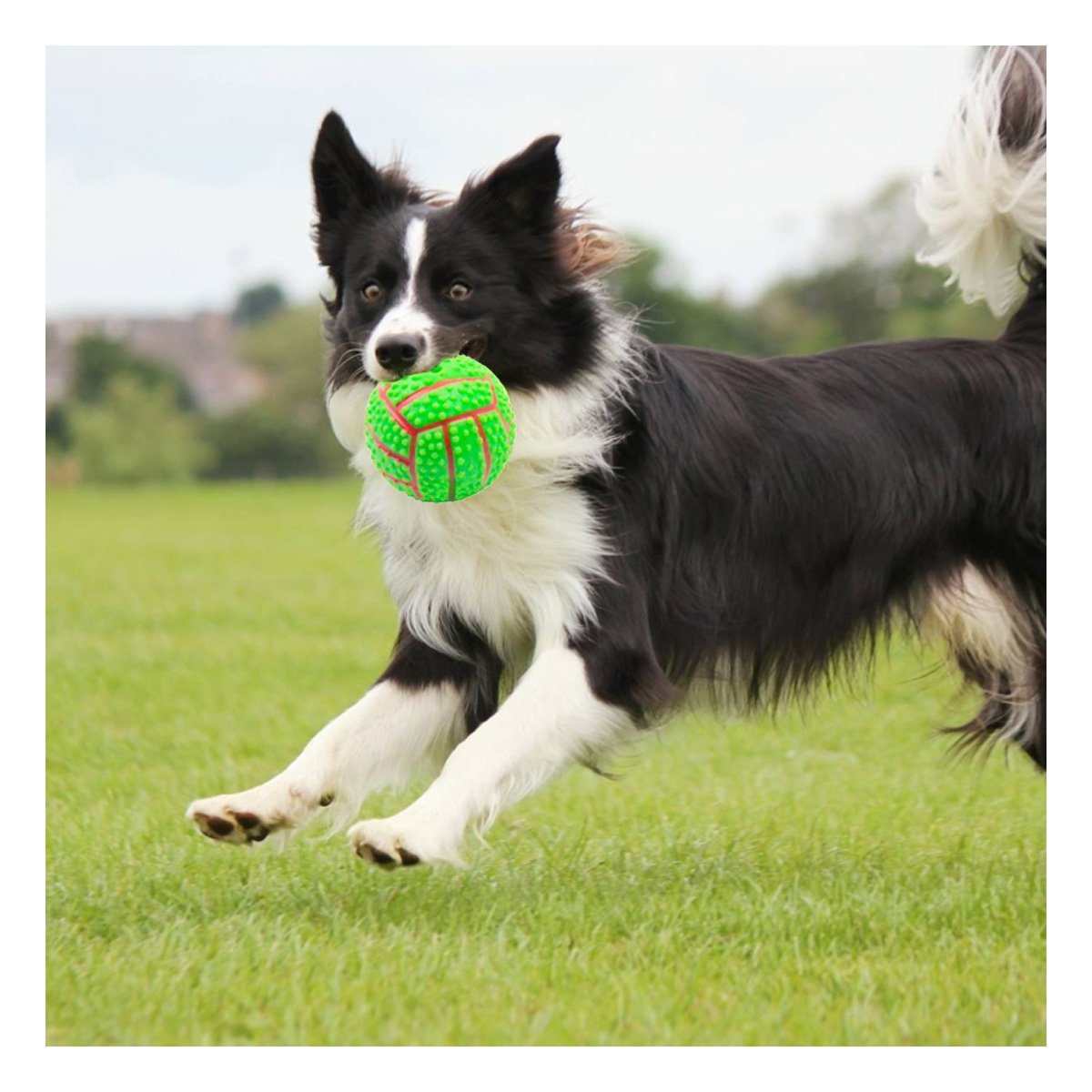 PACK2 ACCESORIO DE JUEGO VERDE PARA PERRO DE CAUCHO CON RAYAS Y RELIEVE Y+PAPEL REGALO - 5