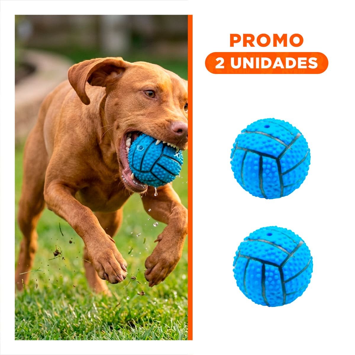 PACK2 ACCESORIO PEQUENO PARA PERRO A RAYAS DE CAUCHO CON SONIDO Y RELIEVE AZUL - 1