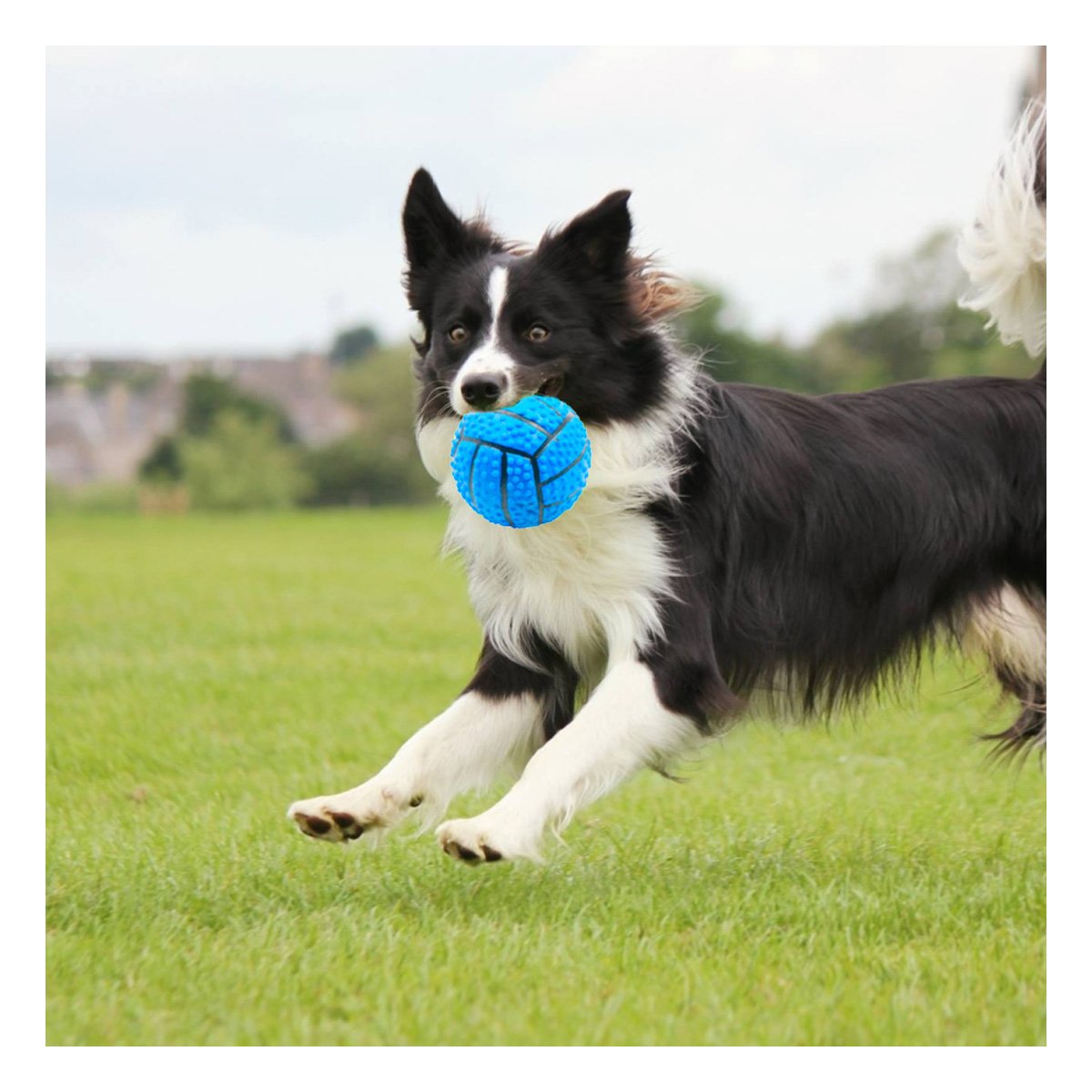 PACK2 ACCESORIO PEQUENO PARA PERRO A RAYAS DE CAUCHO CON SONIDO Y RELIEVE AZUL - 5
