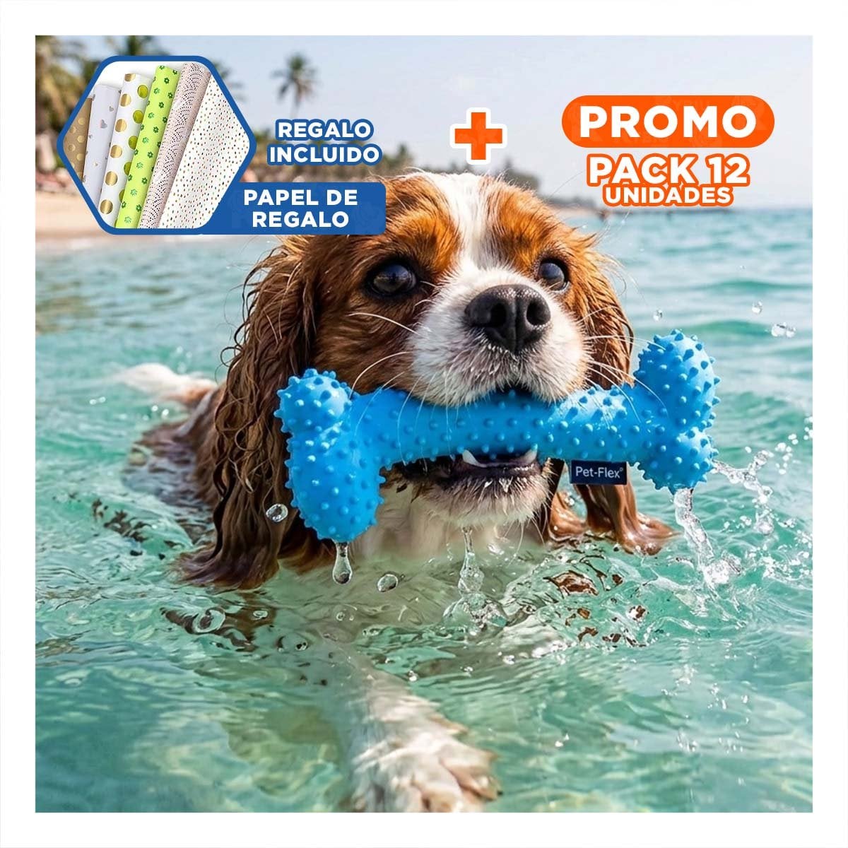 PACK12 APARATO PEQUENO DE GOMA MASTICADOR EN FORMA DE HUESO CELESTE Y+PAPEL REGALO - 1