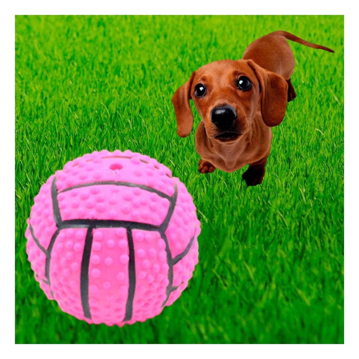 PACK12 KIT INTERACTIVO PARA PERRO DE CAUCHO ROSADO CON RAYAS Y SONIDO ACTIVO - 2