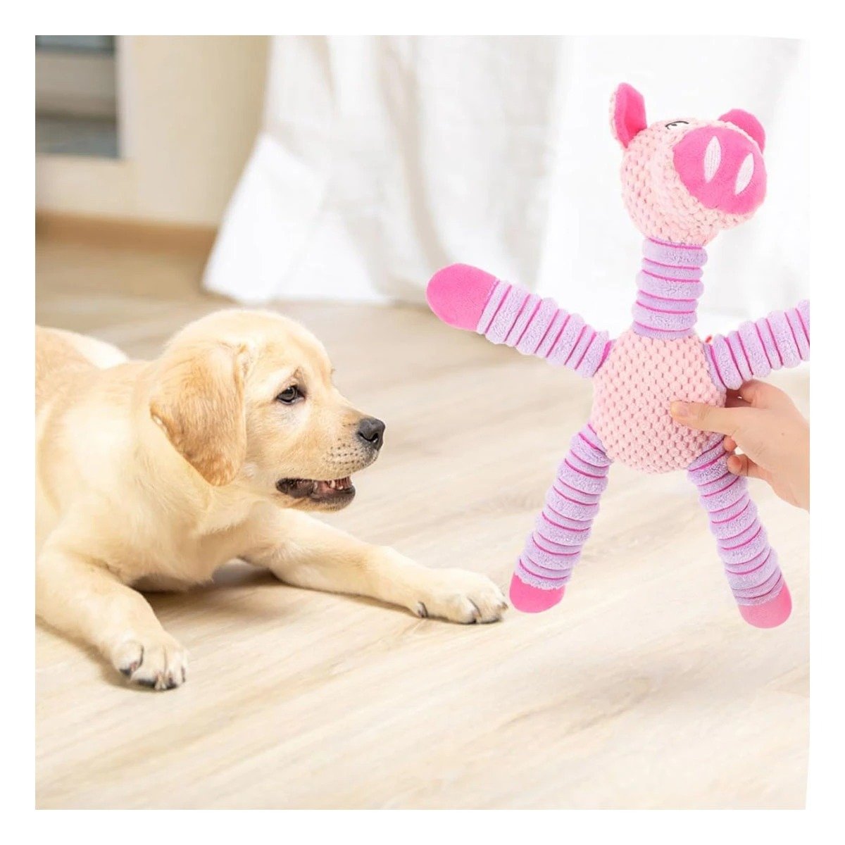 PACK12 APARATO DE JUEGO FORMA DE CHANCHO ROSADO Y LILA CONFORTABLE Y+REGALO STICKER - 5