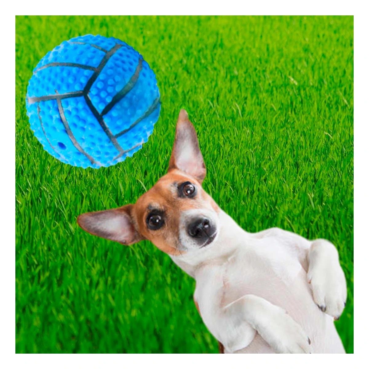 PACK6 SET DE JUEGO PARA PERRO DE CAUCHO CON RAYAS, RELIEVE Y SONIDO AZUL - 2