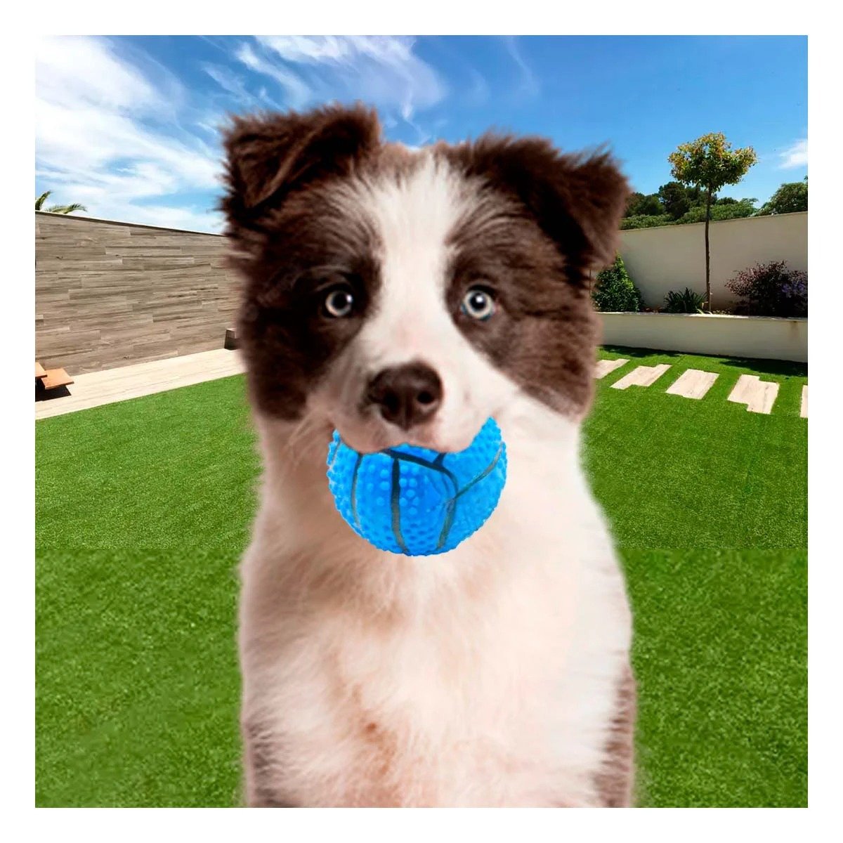 PACK6 SET DE JUEGO PARA PERRO DE CAUCHO CON RAYAS, RELIEVE Y SONIDO AZUL - 3