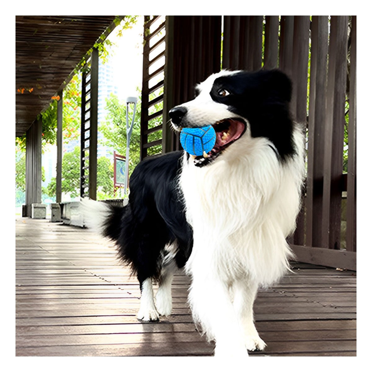 PACK6 SET DE JUEGO PARA PERRO DE CAUCHO CON RAYAS, RELIEVE Y SONIDO AZUL - 5