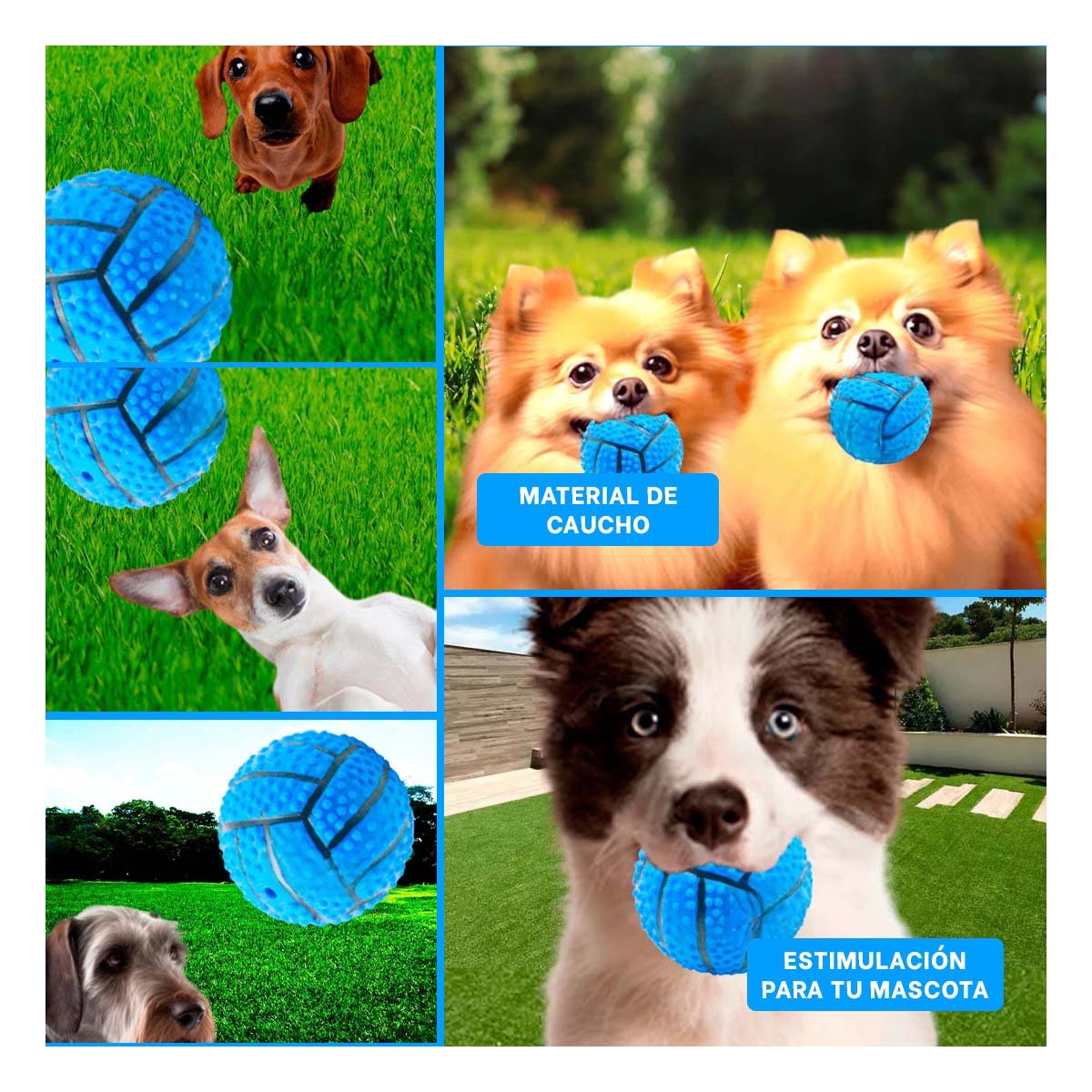 PACK2 ACCESORIO DE JUEGO PARA PERRO DE CAUCHO CON RAYAS, RELIEVE Y SONIDO AZUL Y+PAPEL REGALO - 3