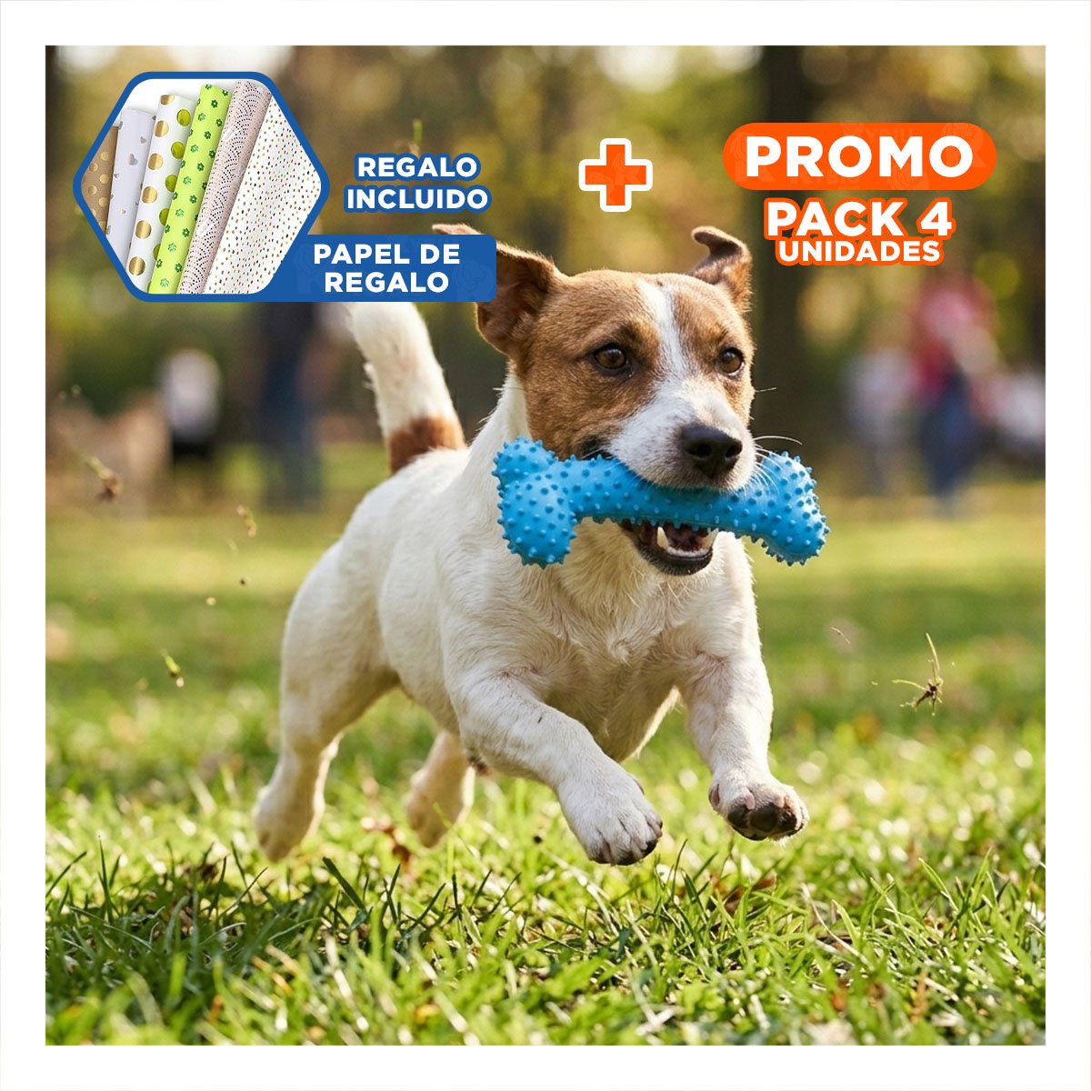 PACK4 SET INTERACTIVO DE GOMA EN FORMA DE HUESO CELESTE DIVERTIDO Y+PAPEL REGALO - 1