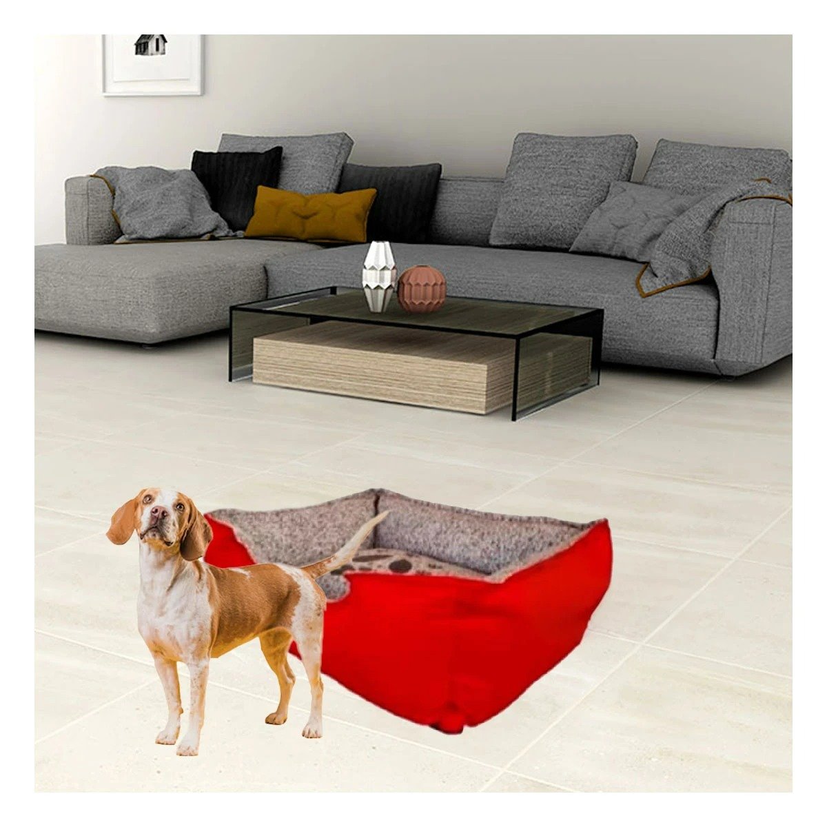 PACK4 BASE DE DESCANSO PARA PERRO MATERIAL DURABLE PARA USO EN CASA TALLA M ROJO Y+PAPEL REGALO - 2
