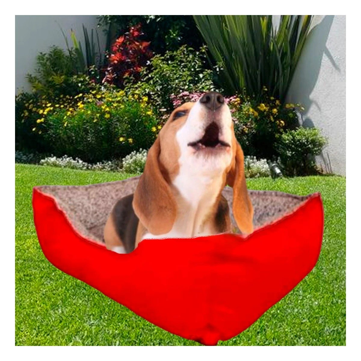 PACK2 BASE DE DESCANSO PARA PERRO RELLENO UNIFORME Y COMODO TALLA M ROJO Y+PAPEL REGALO - 5