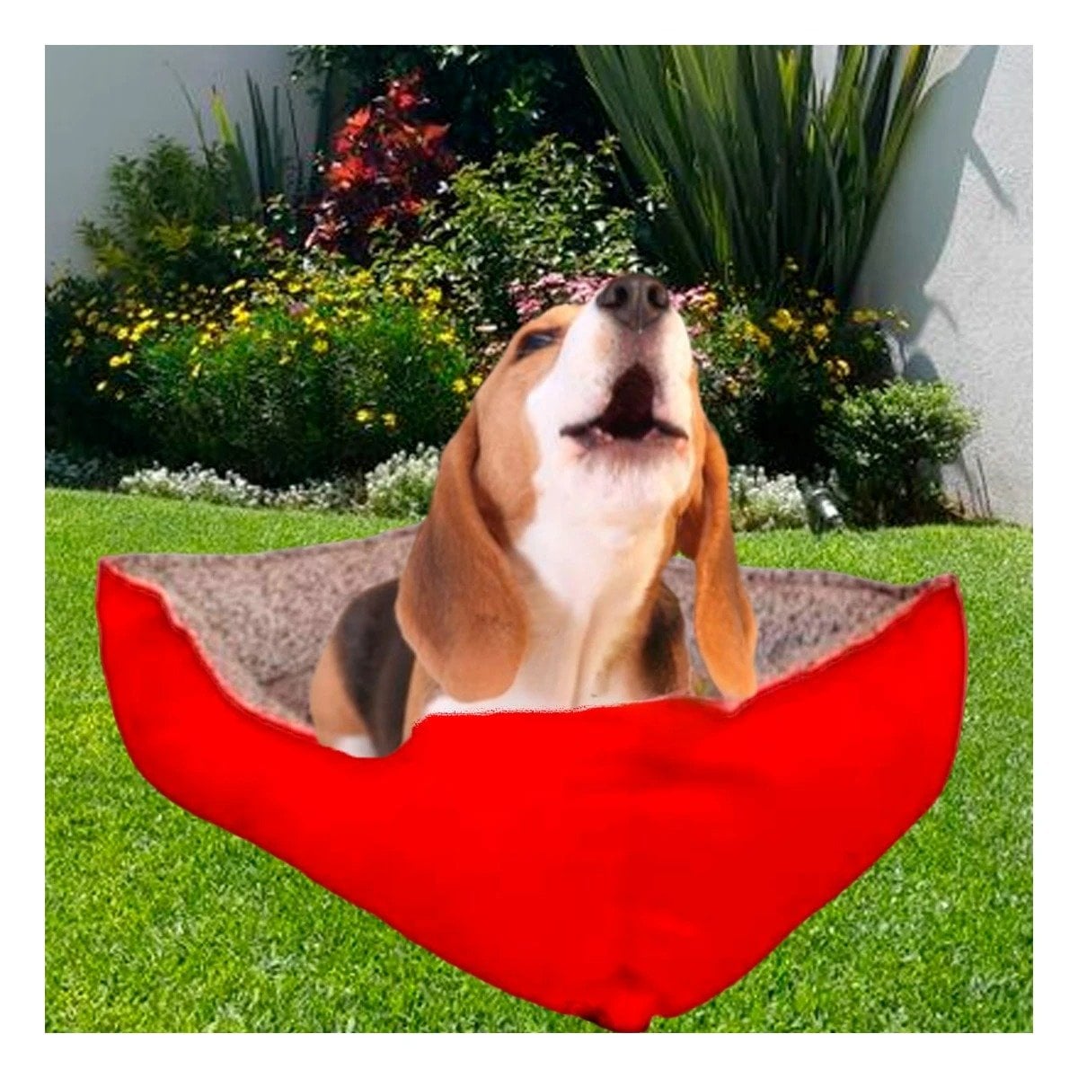 PACK4 BASE DE DESCANSO PARA PERRO ESPACIO AMPLIO PARA RELAJO DIARIO TALLA M ROJO - 5