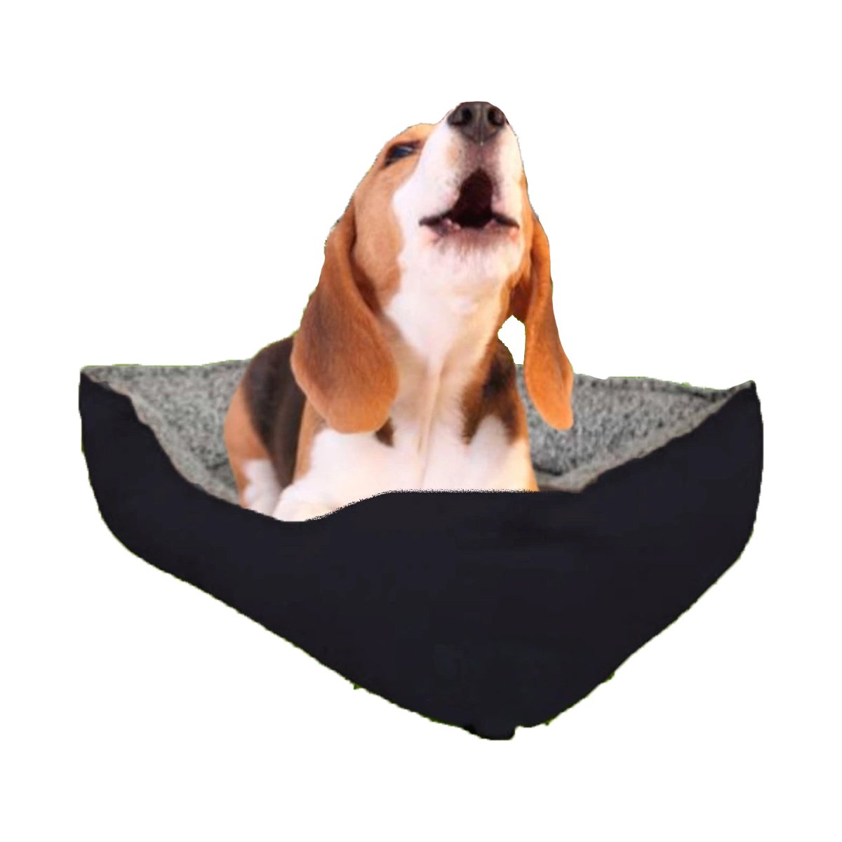 PACK6 COLCHONETA PARA PERRO BASE FIRME Y ESTABLE TALLA M NEGRO Y+REGALO STICKER - 2