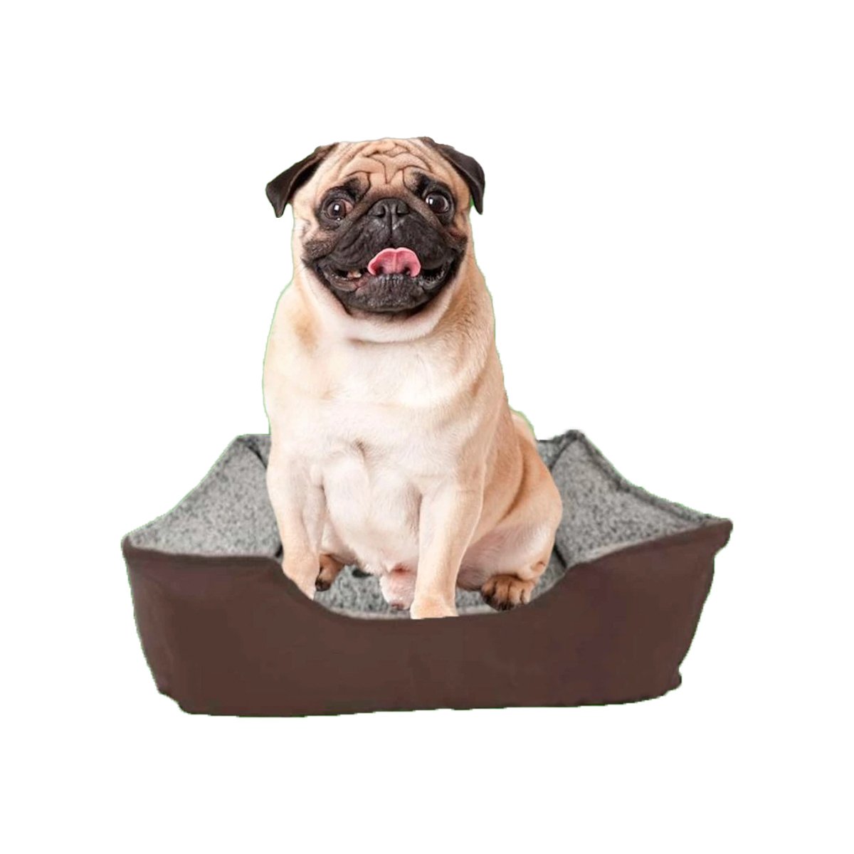 PACK6 ESPACIO DE DESCANSO CON TELA RESISTENTE Y RELLENO SUAVE TALLA M MARRON Y+REGALO STICKER - 2