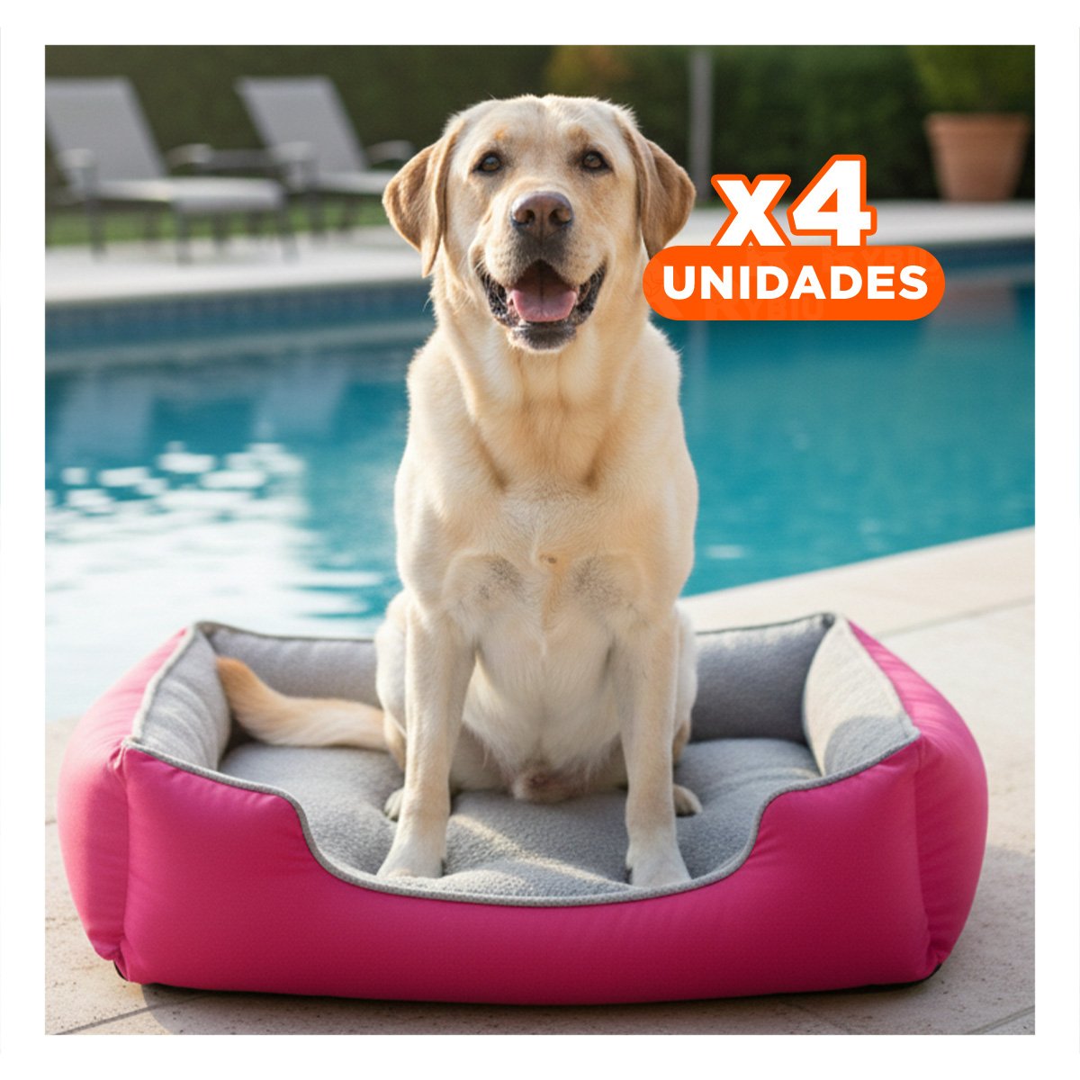 PACK4 LECHO CANINO ESPACIO GENEROSO PARA DESCANSO PROLONGADO TALLA M FUCSIA - 1