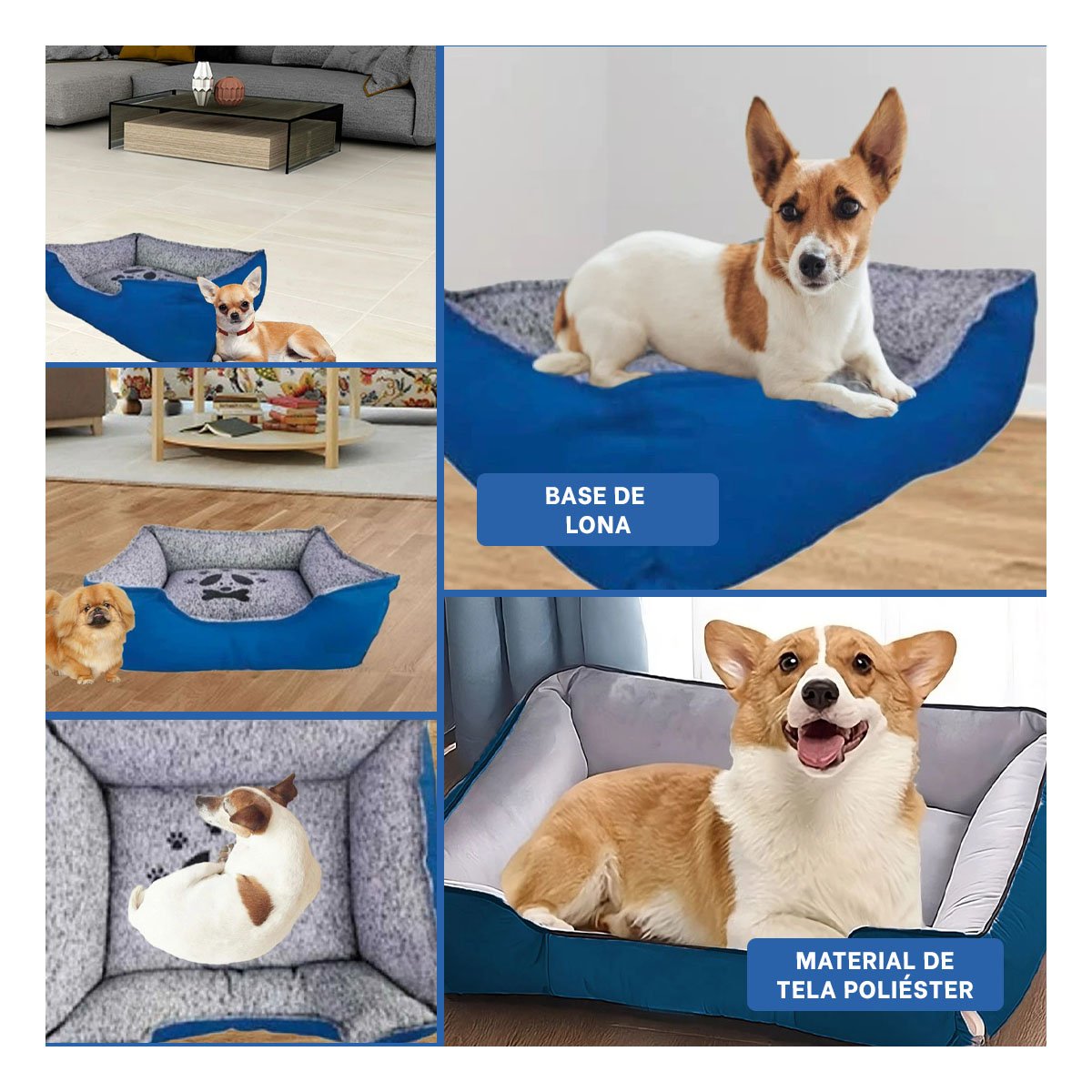 PACK2 REFUGIO ACOLCHADO PARA PERRO BASE SEGURA QUE NO SE DESLIZA TALLA M AZUL Y+PAPEL REGALO - 3