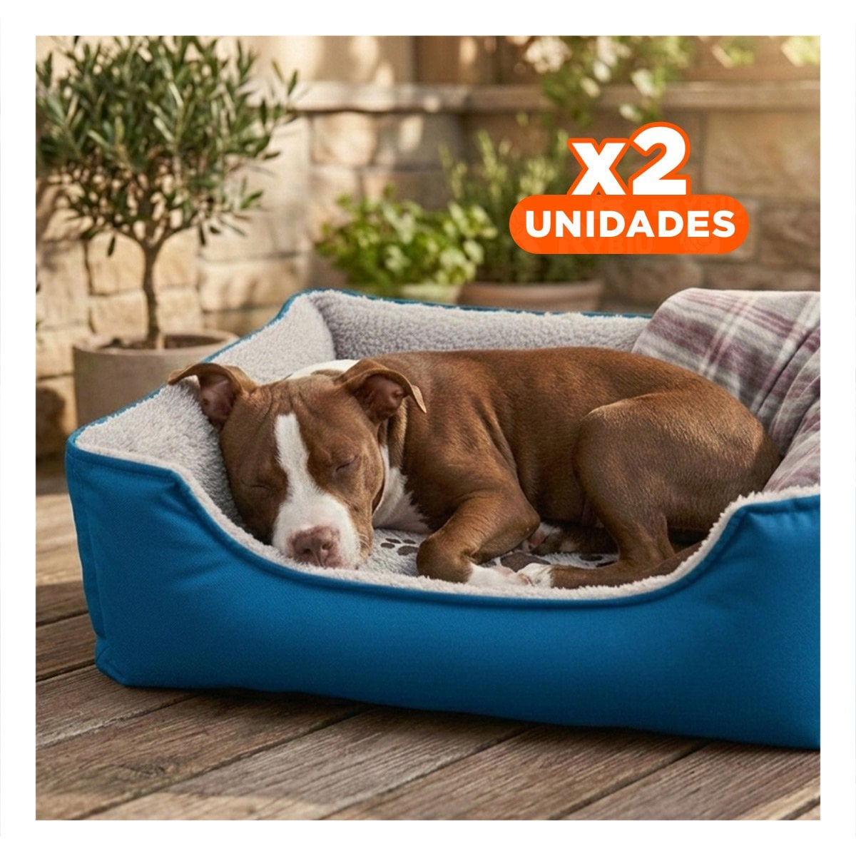 PACK2 REFUGIO ACOLCHADO PARA PERRO QUE BRINDA ABRIGO TALLA M AZUL Y+REGALO STICKER - 1