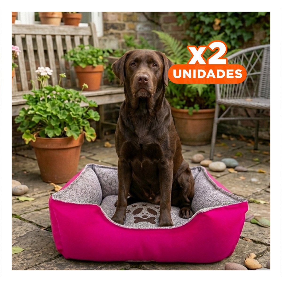 PACK2 LECHO CANINO TELA DURABLE APTA PARA INTERIOR TALLA M FUCSIA Y+REGALO STICKER - 1