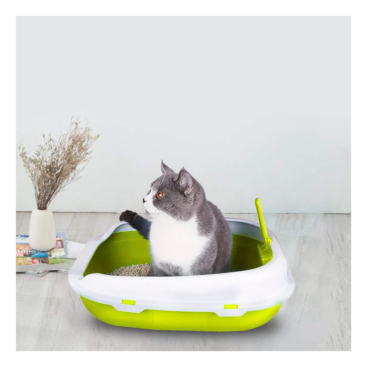 PACK6 AREA VERDE PARA GATO CON LADOS MEDIOS ALTOS MAS PALA CERNIDORA Y+PAPEL REGALO - 2