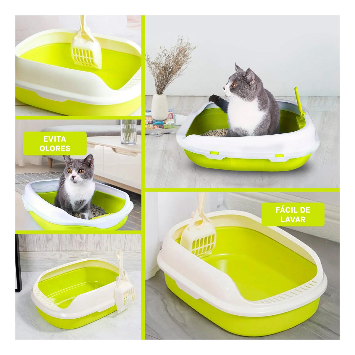 PACK6 AREA VERDE PARA GATO CON LADOS MEDIOS ALTOS MAS PALA CERNIDORA Y+PAPEL REGALO - 3