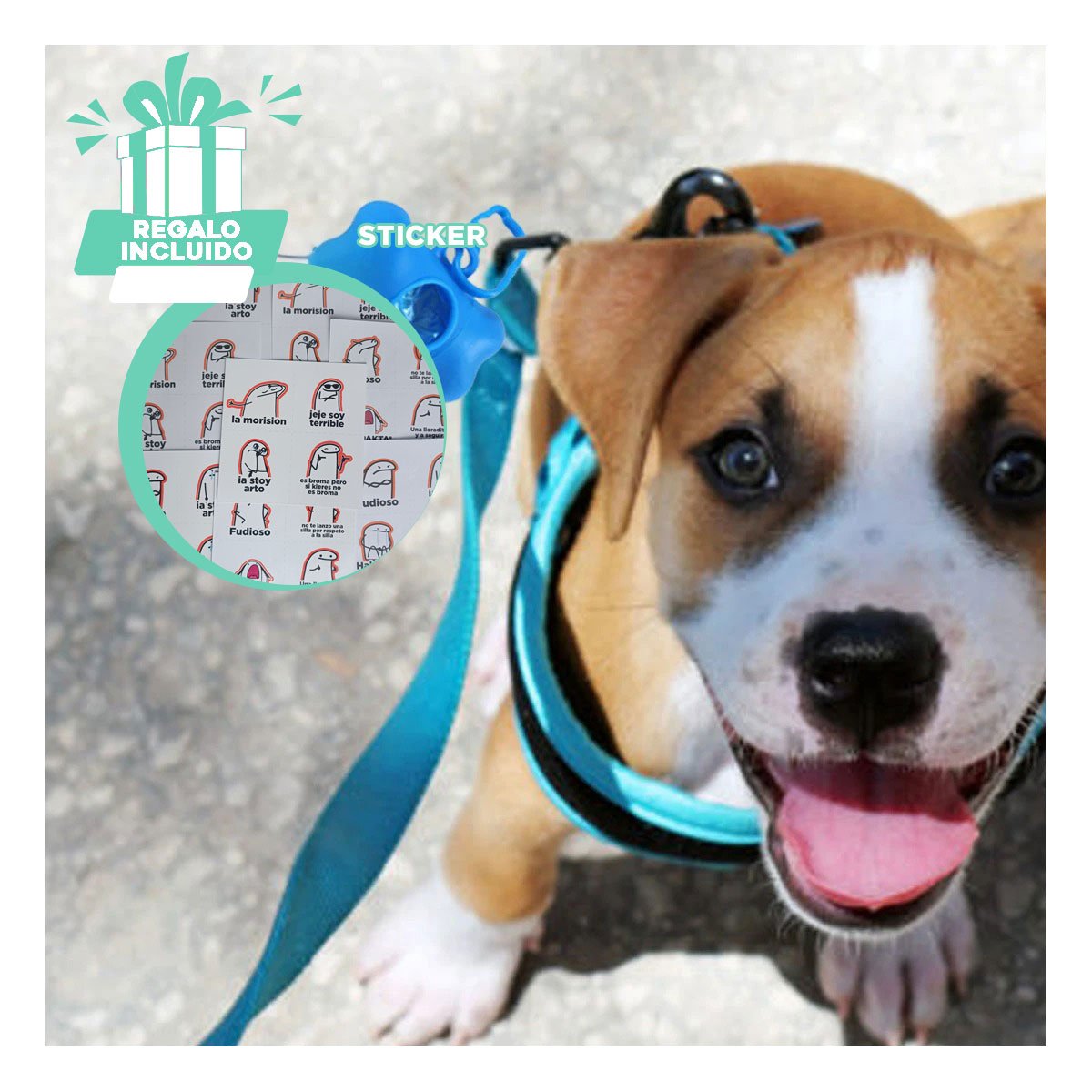 KIT DE BOLSA CON PROTECTOR TIPO HUESO AZUL PARA MASCOTA Y+REGALO STICKER - 1