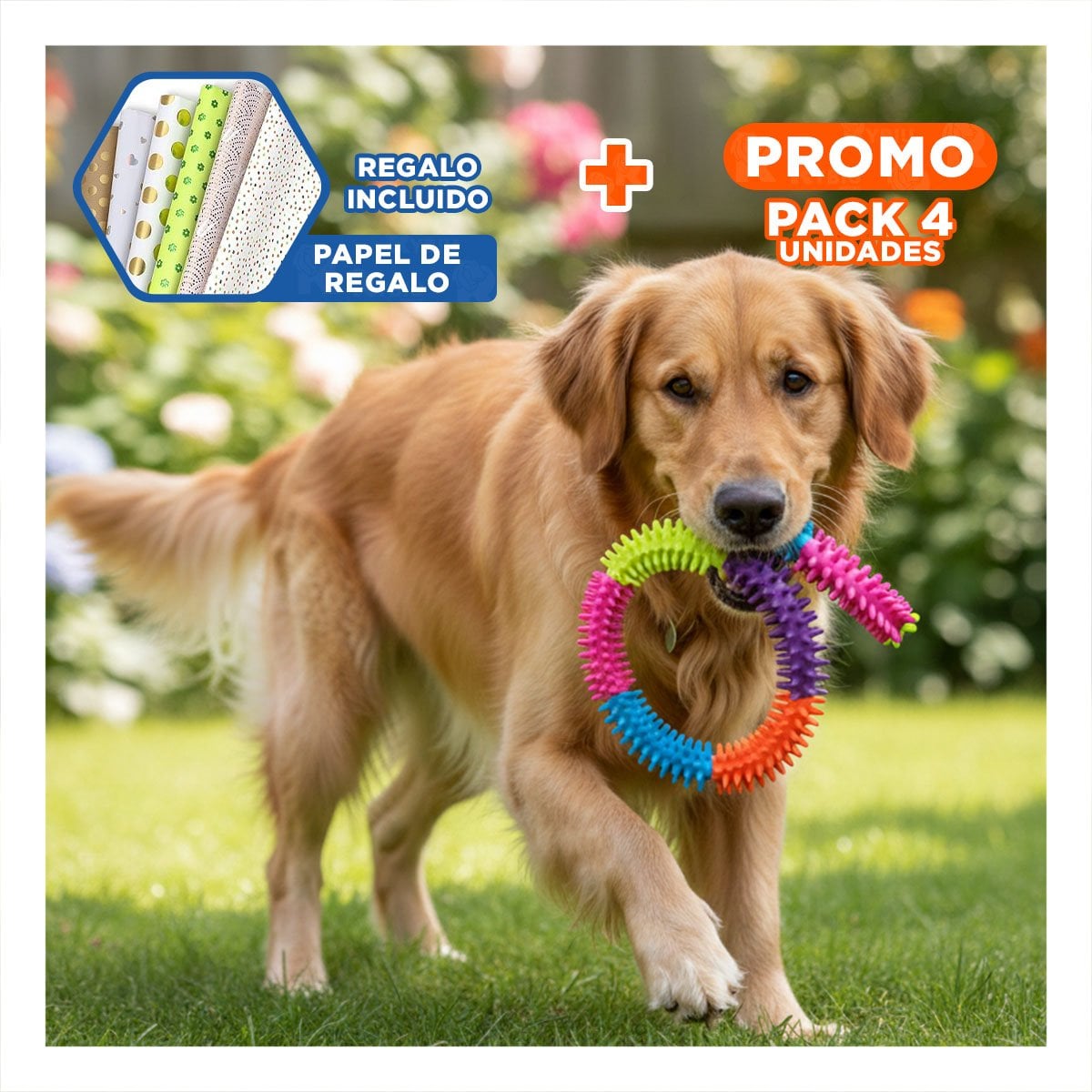 PACK4 JUGUETE PARA MASCOTAS JOVENES DE JEBE PUNTEADO DE COLORES Y+PAPEL REGALO - 1