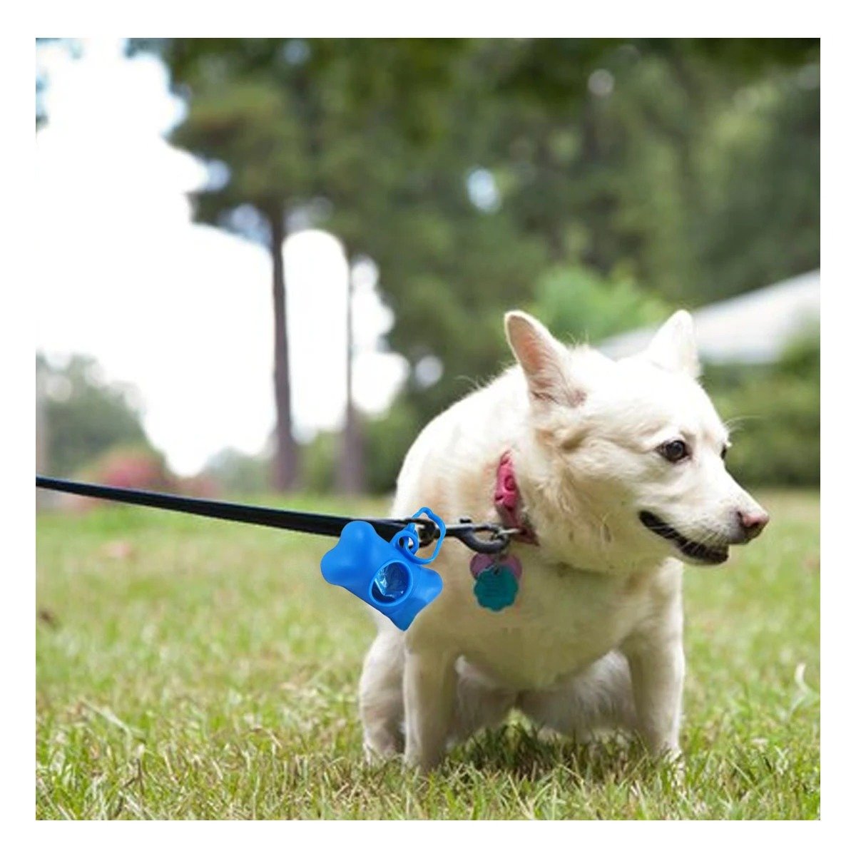 SOPORTE DE BOLSA CON PROTECTOR TIPO HUESO AZUL PORTATIL Y+LIGAS REGALO - 2