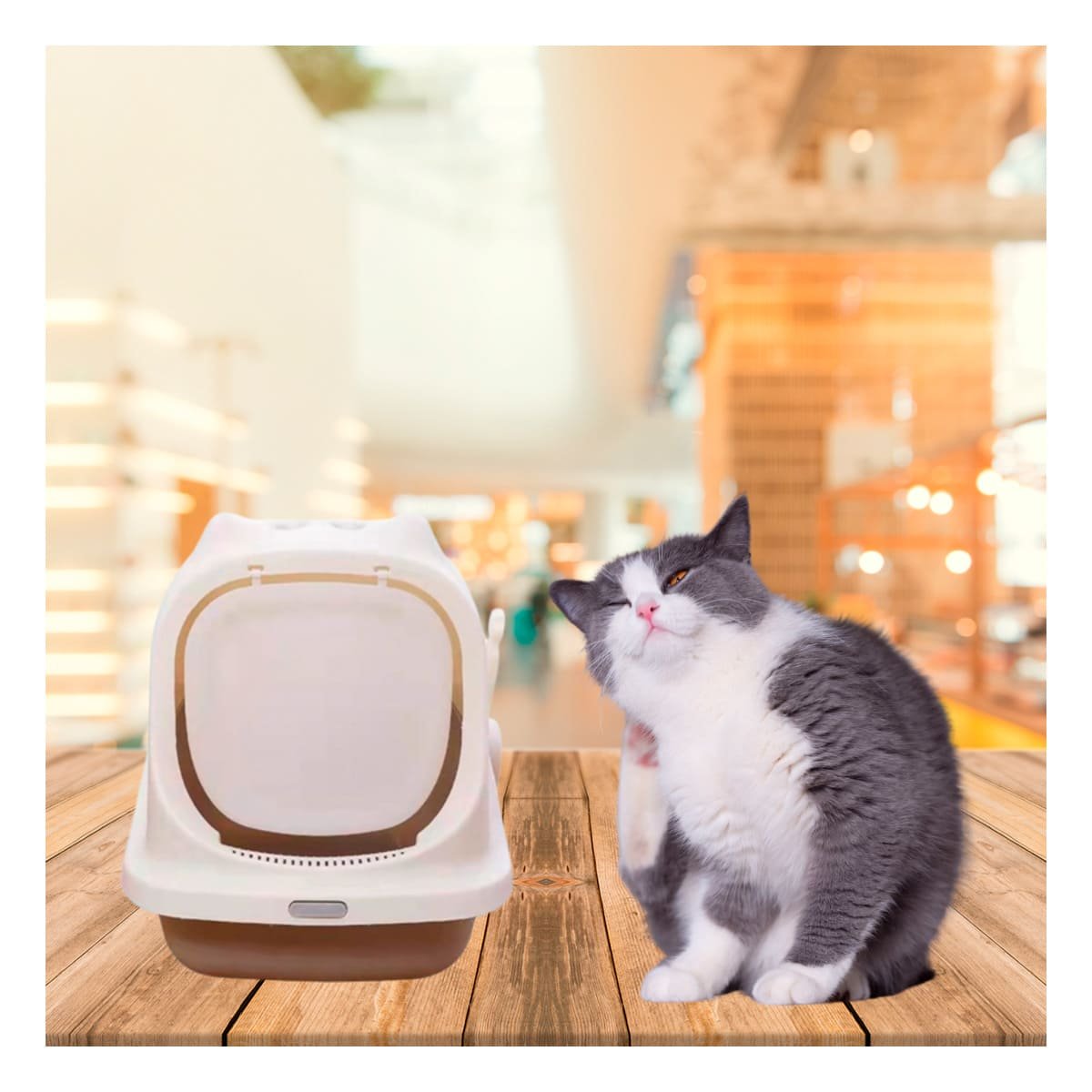 PACK6 SISTEMA SANITARIO CERRADO CON OREJITAS DE GATO MARRON PARA HOGAR Y+REGALO STICKER - 3