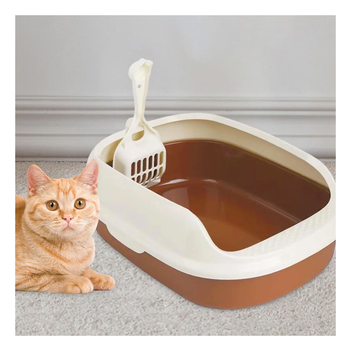 PACK2 RECIPIENTE MARRON PARA GATO CON LADOS MEDIOS ALTOS MAS PALA CERNIDORA Y+PAPEL REGALO - 2