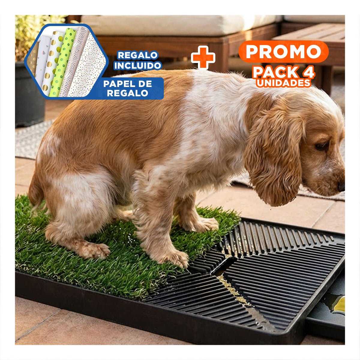 PACK4 CONCEPTO SANITARIO PARA PERROS MEDIANO NEGRO NACIONAL PARA INTERIOR Y+PAPEL REGALO - 1