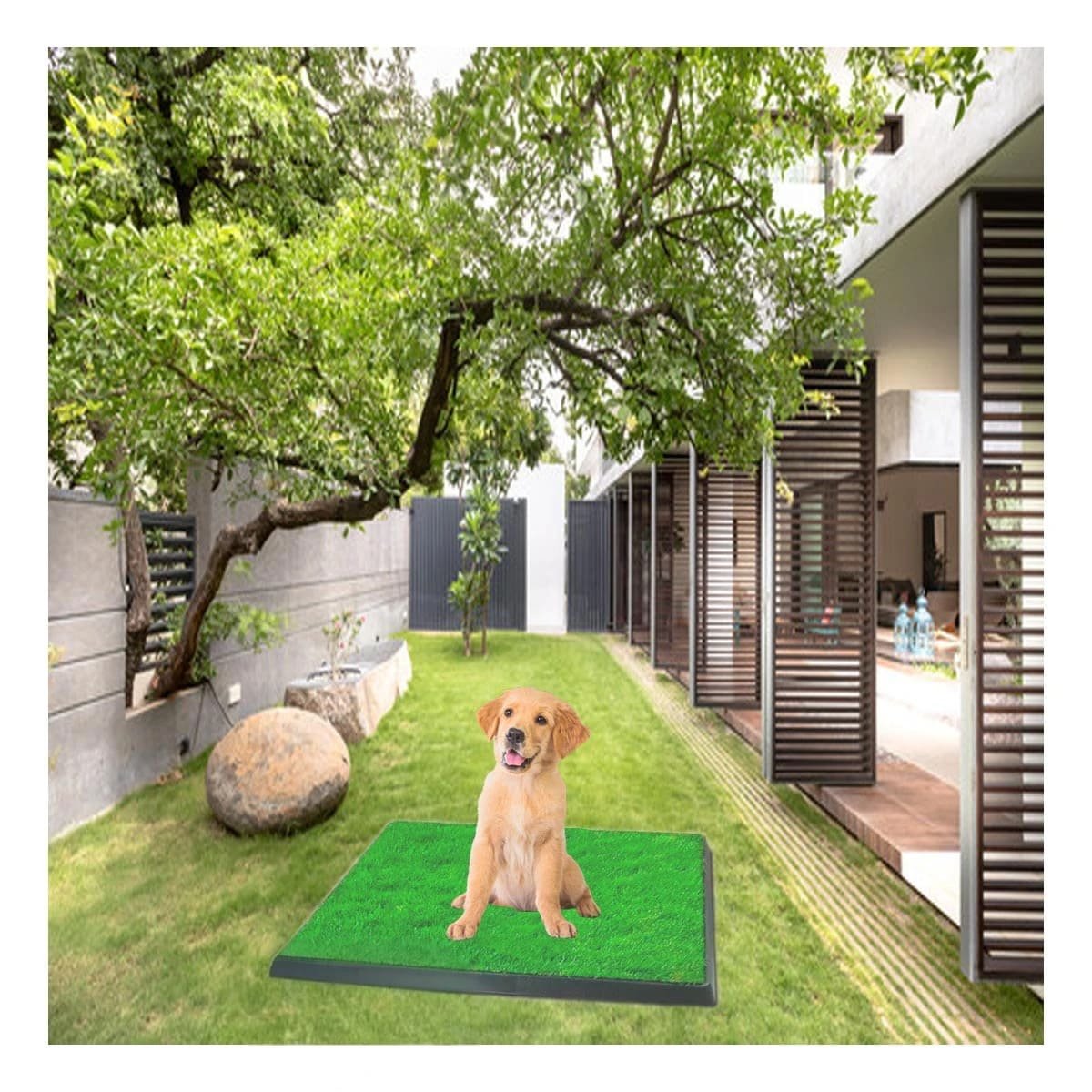 PACK4 CONCEPTO SANITARIO PARA PERROS MEDIANO NEGRO NACIONAL PARA INTERIOR Y+PAPEL REGALO - 2