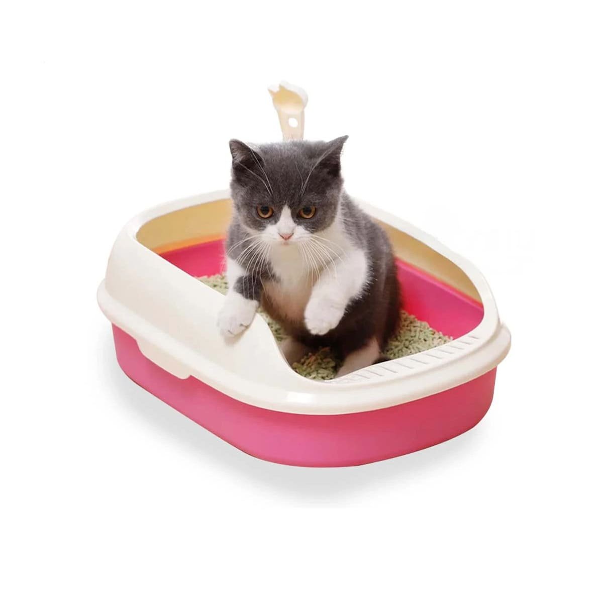 PACK6 ESPACIO ROSADO PARA GATO CON LADOS MEDIOS ALTOS MAS PALA CERNIDORA Y+REGALO STICKER - 2