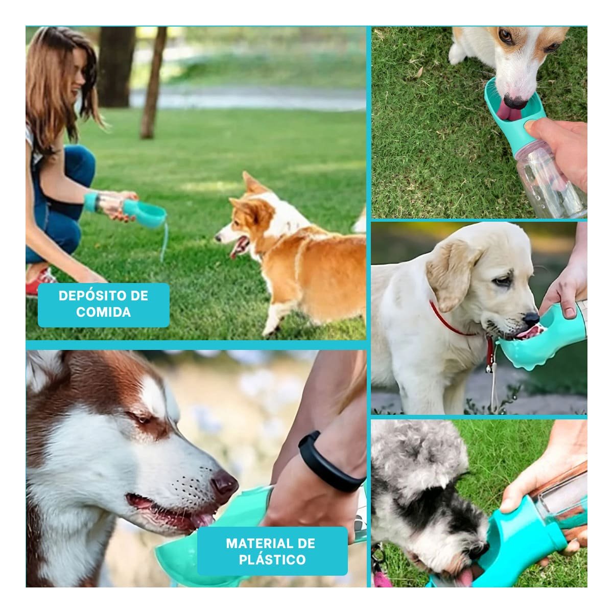 KIT 4 EN 1 DISPENSADOR CON BOLSITA CELESTE MEDIANO PARA MASCOTA - 5